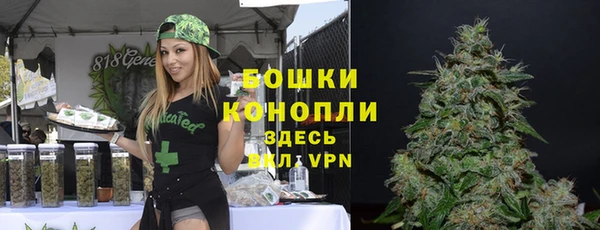 дурь Володарск