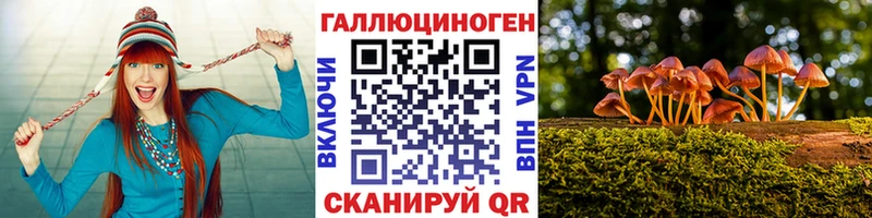 Галлюциногенные грибы Magic Shrooms  купить  сайты  Вытегра 